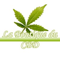 LA BOUTIQUE DU CBD CASTIES-LABRANDE 